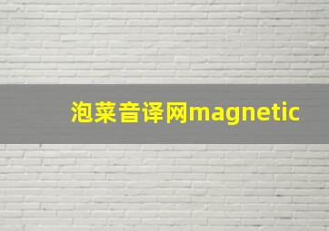 泡菜音译网magnetic