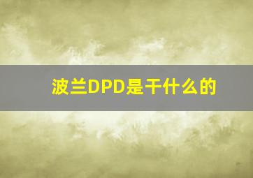 波兰DPD是干什么的