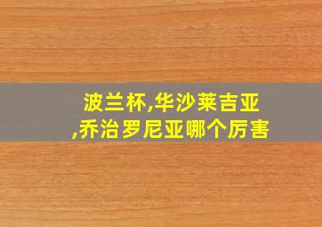 波兰杯,华沙莱吉亚,乔治罗尼亚哪个厉害