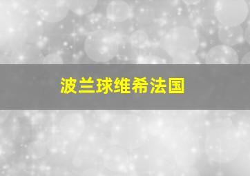 波兰球维希法国