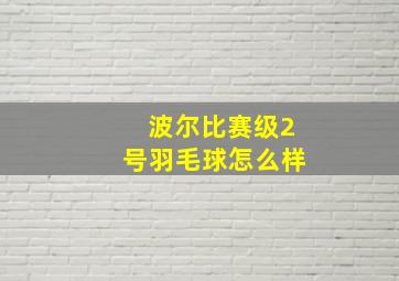 波尔比赛级2号羽毛球怎么样