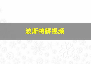 波斯特鳄视频