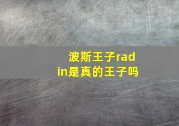 波斯王子radin是真的王子吗