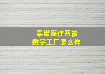 泰诺医疗智能数字工厂怎么样