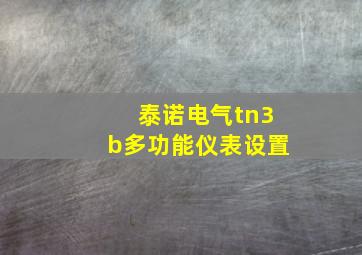 泰诺电气tn3b多功能仪表设置