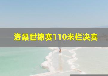 洛桑世锦赛110米栏决赛