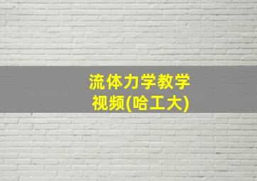 流体力学教学视频(哈工大)