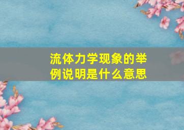 流体力学现象的举例说明是什么意思