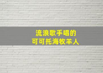 流浪歌手唱的可可托海牧羊人