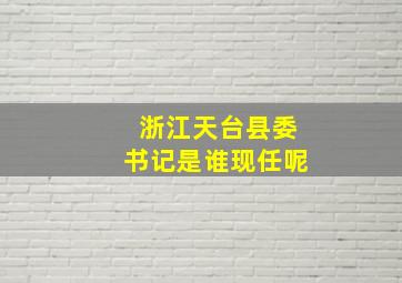 浙江天台县委书记是谁现任呢