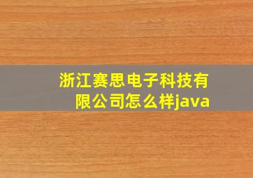 浙江赛思电子科技有限公司怎么样java