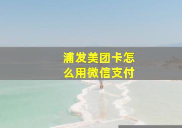 浦发美团卡怎么用微信支付