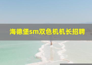 海德堡sm双色机机长招聘