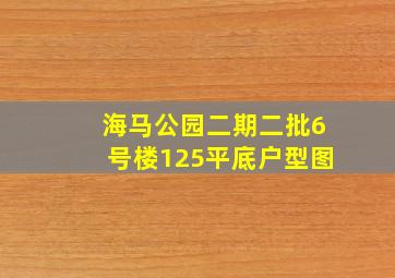 海马公园二期二批6号楼125平底户型图