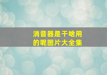 消音器是干啥用的呢图片大全集