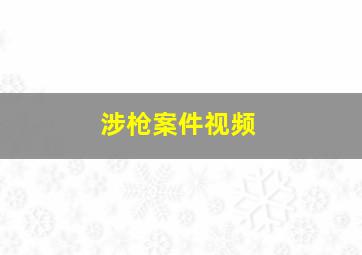 涉枪案件视频