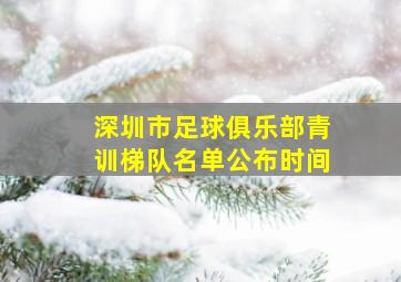 深圳市足球俱乐部青训梯队名单公布时间