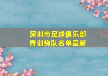 深圳市足球俱乐部青训梯队名单最新