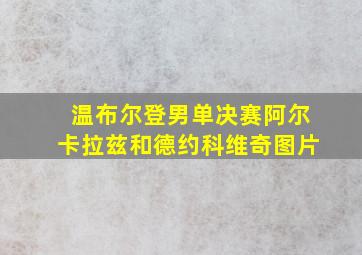 温布尔登男单决赛阿尔卡拉兹和德约科维奇图片