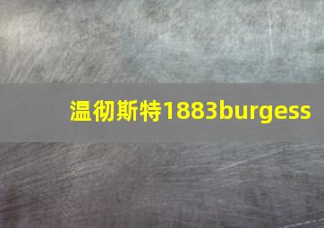 温彻斯特1883burgess