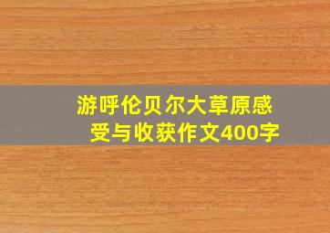 游呼伦贝尔大草原感受与收获作文400字