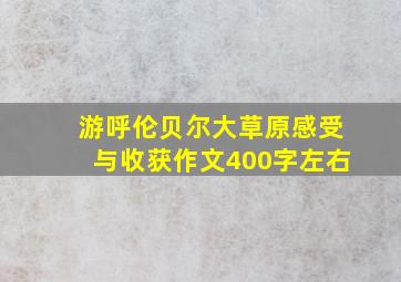 游呼伦贝尔大草原感受与收获作文400字左右