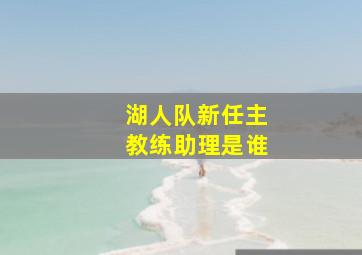 湖人队新任主教练助理是谁