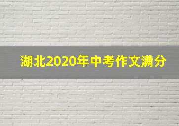 湖北2020年中考作文满分