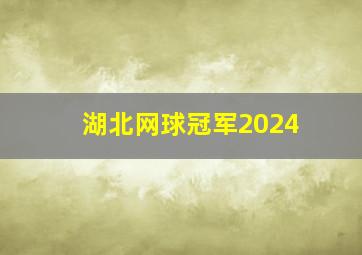 湖北网球冠军2024