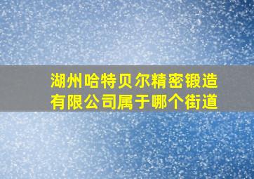 湖州哈特贝尔精密锻造有限公司属于哪个街道