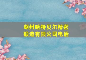 湖州哈特贝尔精密锻造有限公司电话