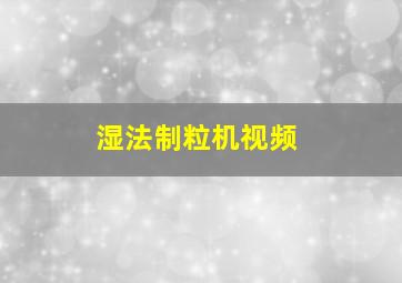 湿法制粒机视频