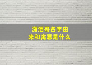 潇洒哥名字由来和寓意是什么