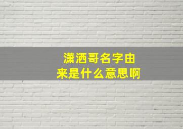 潇洒哥名字由来是什么意思啊