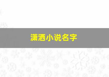 潇洒小说名字