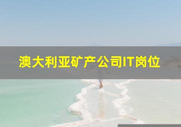 澳大利亚矿产公司IT岗位