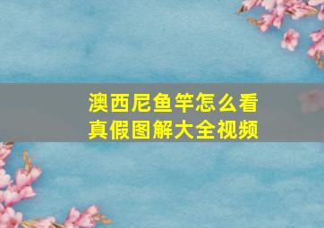 澳西尼鱼竿怎么看真假图解大全视频