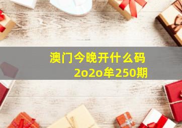 澳门今晚开什么码2o2o牟250期