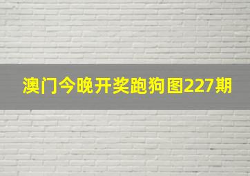 澳门今晚开奖跑狗图227期