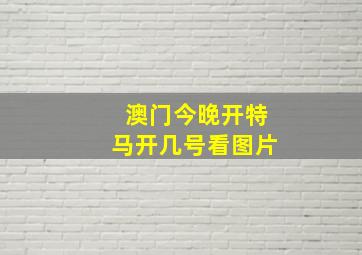 澳门今晚开特马开几号看图片