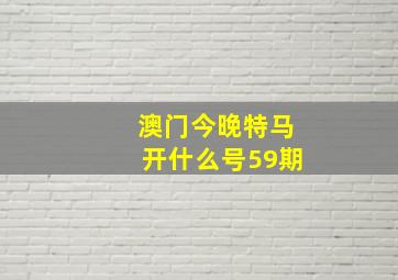 澳门今晚特马开什么号59期