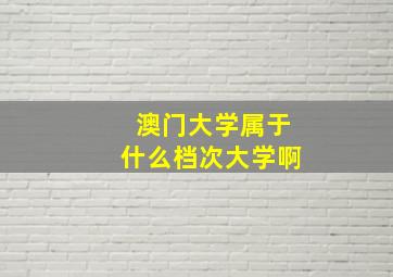 澳门大学属于什么档次大学啊