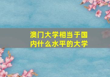 澳门大学相当于国内什么水平的大学