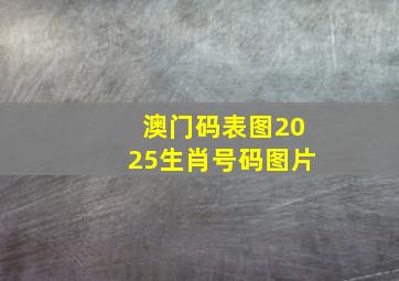 澳门码表图2025生肖号码图片