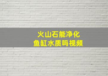 火山石能净化鱼缸水质吗视频