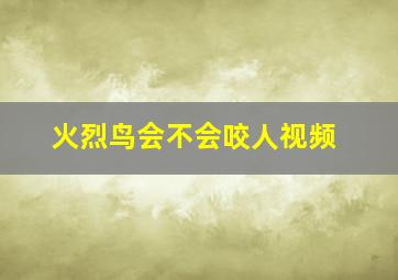 火烈鸟会不会咬人视频