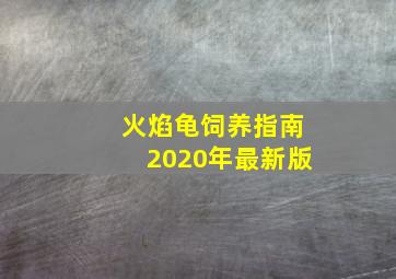 火焰龟饲养指南2020年最新版