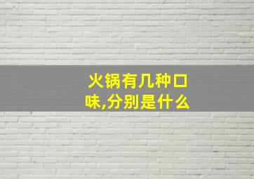 火锅有几种口味,分别是什么