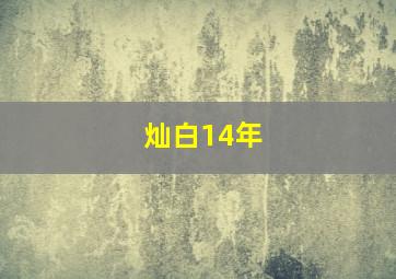 灿白14年