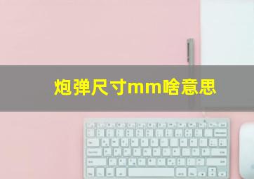 炮弹尺寸mm啥意思